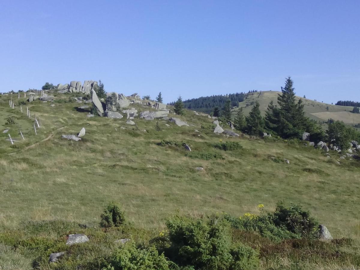Le Gite Du Leymel Luttenbach-près-Munster Εξωτερικό φωτογραφία